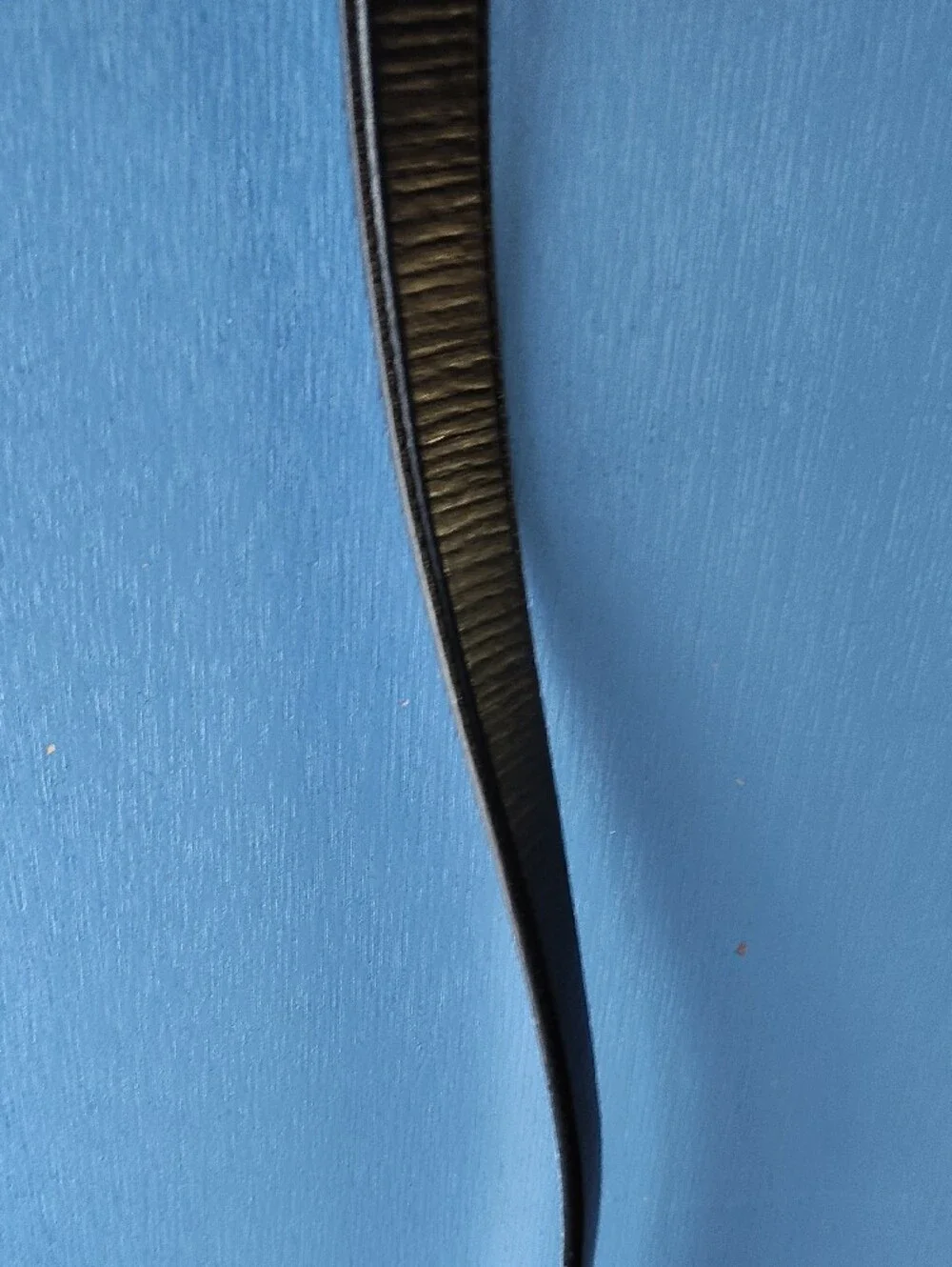 Black Leather Belt with Silver Horseshoe Buckle